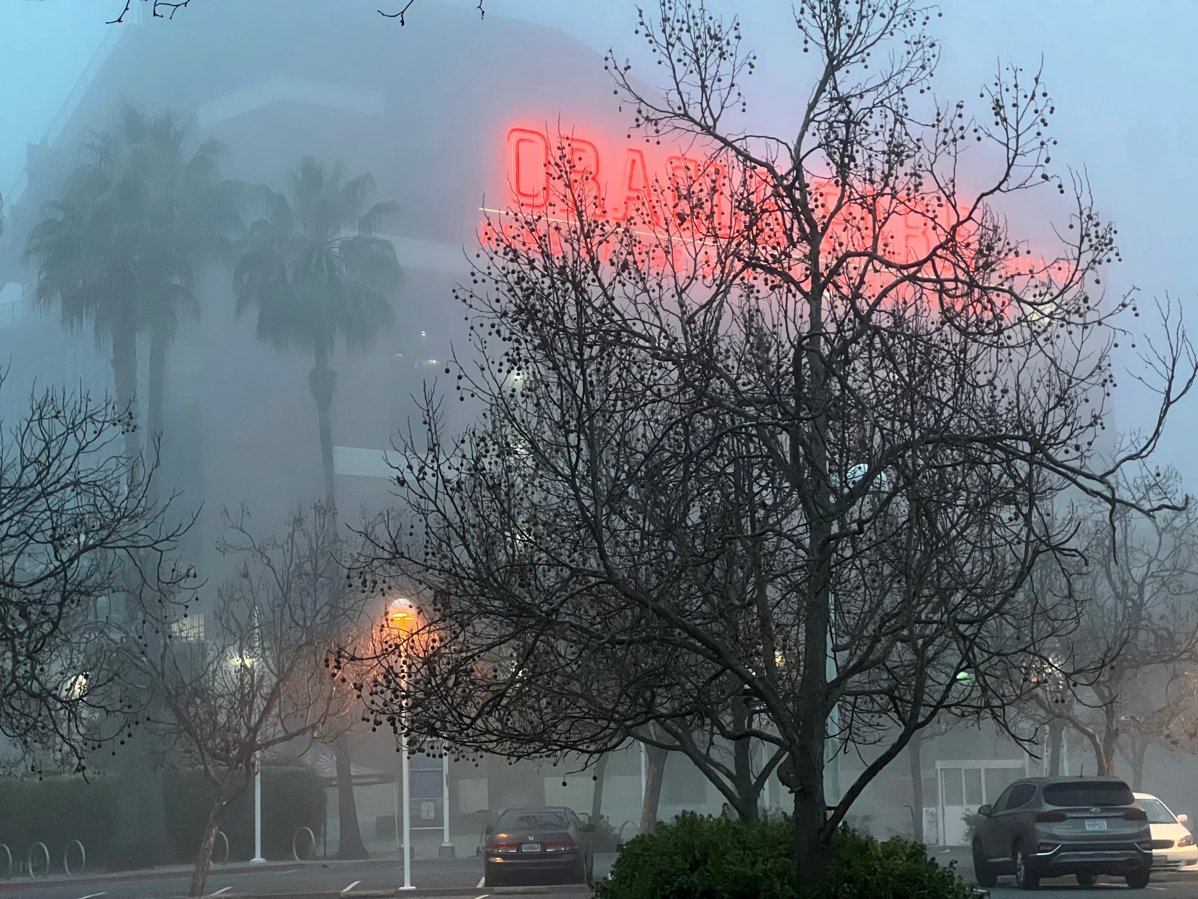 Where Day Meets Night in Perfect Harmony