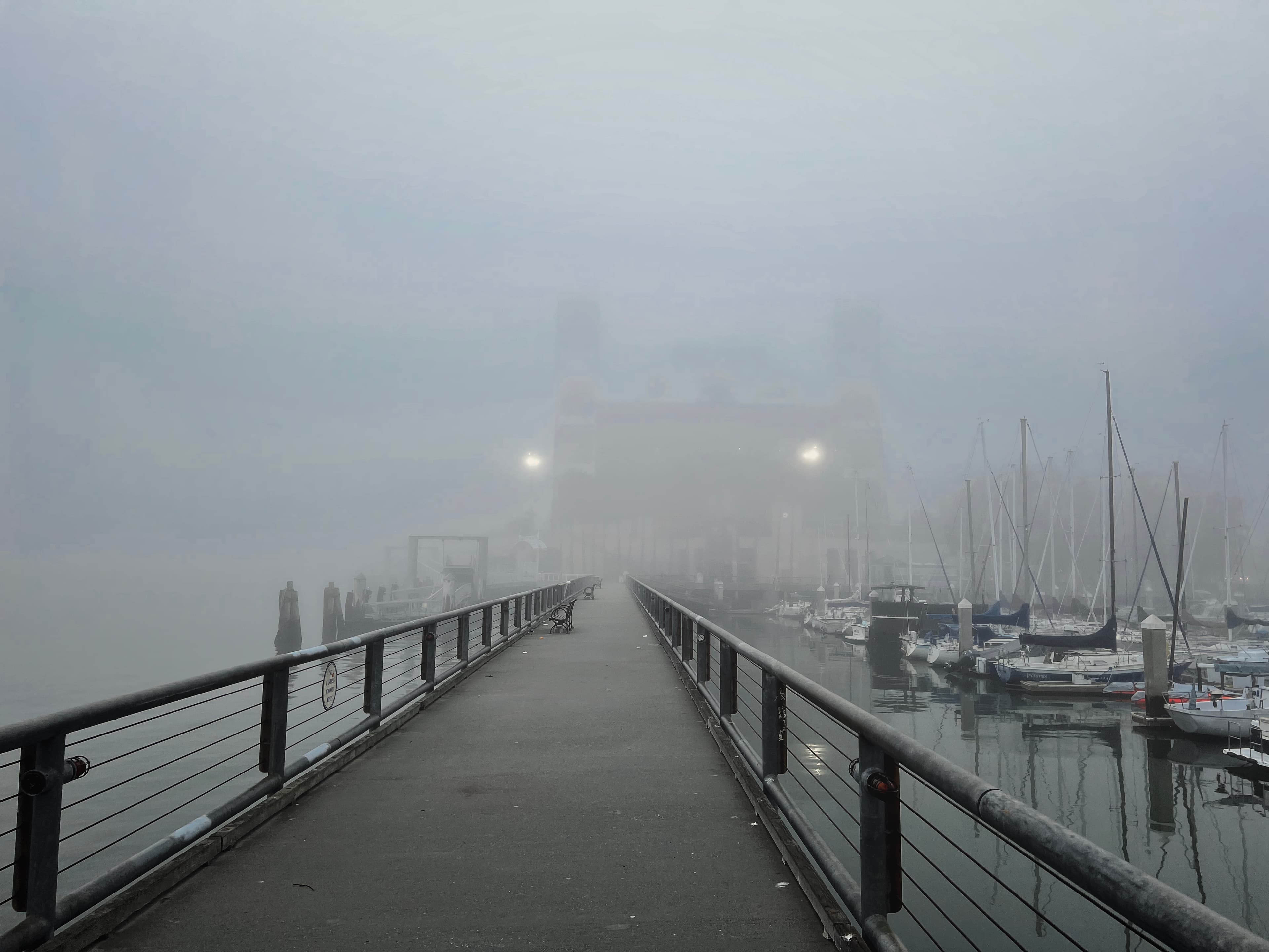 When Fog Becomes a Blanket for the City