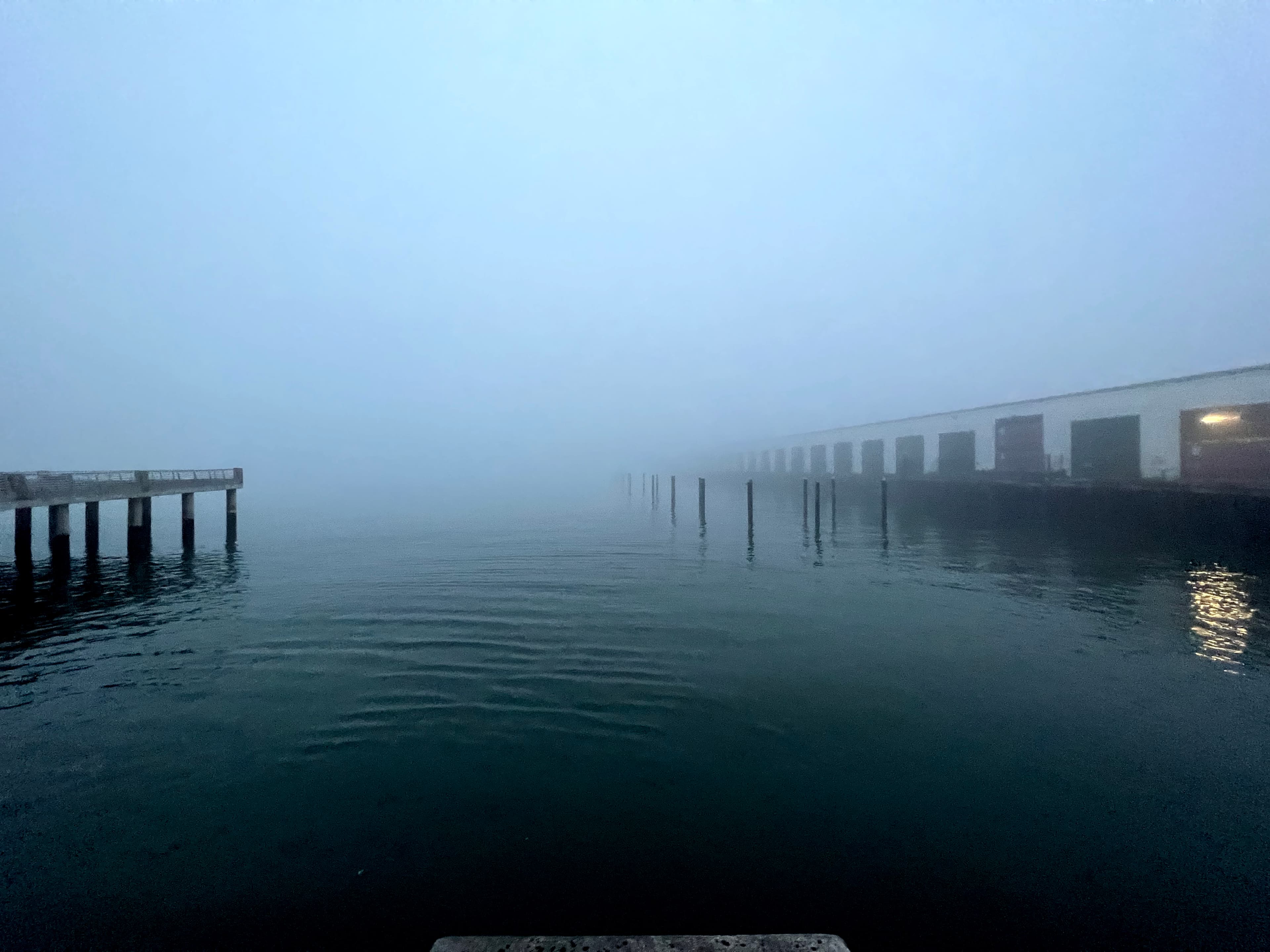 Twilight's Gentle Whisper