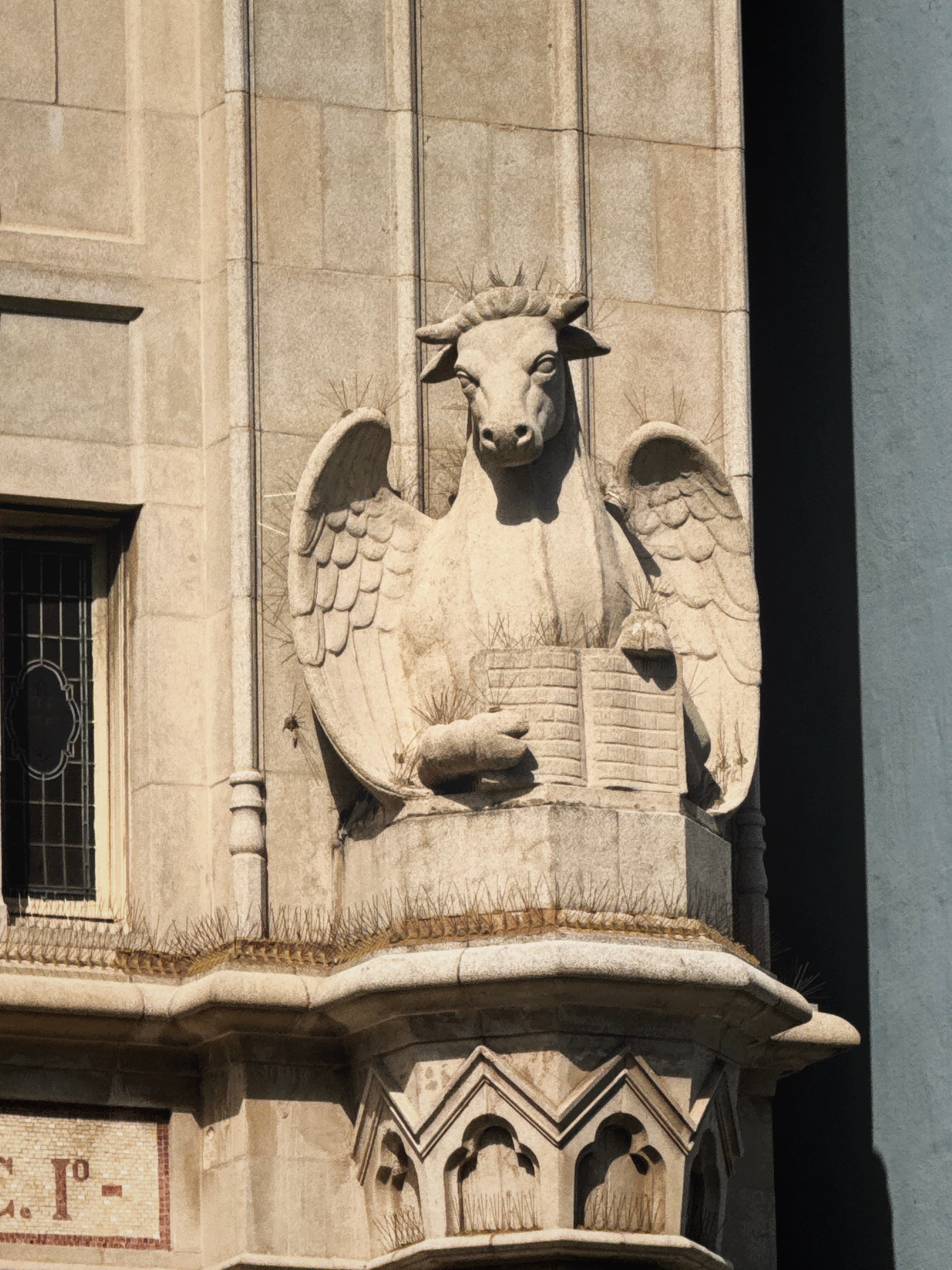 When Eyes Speak Louder than Words