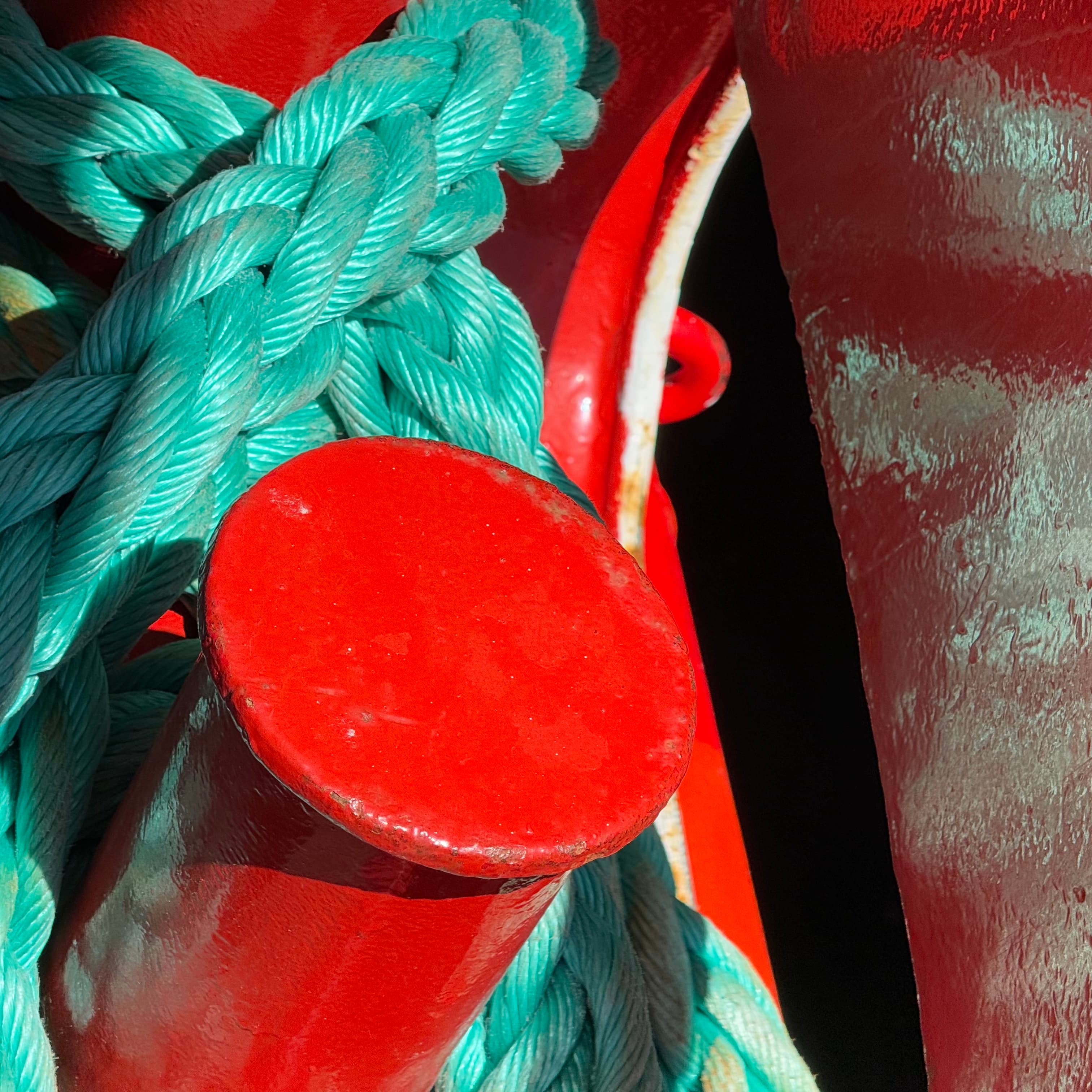 The Driftwood's Final Dance