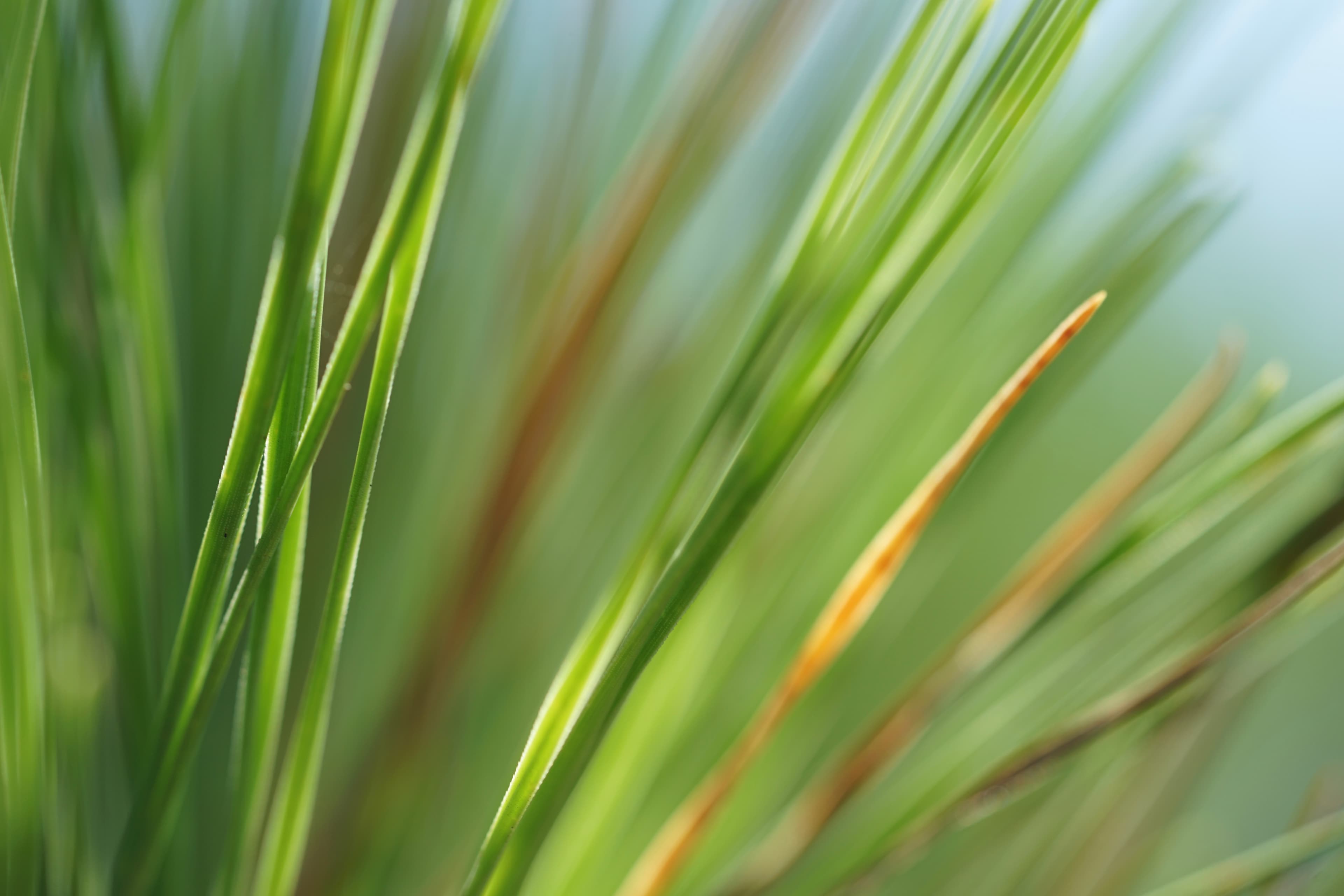 Conversations with the Driftwood