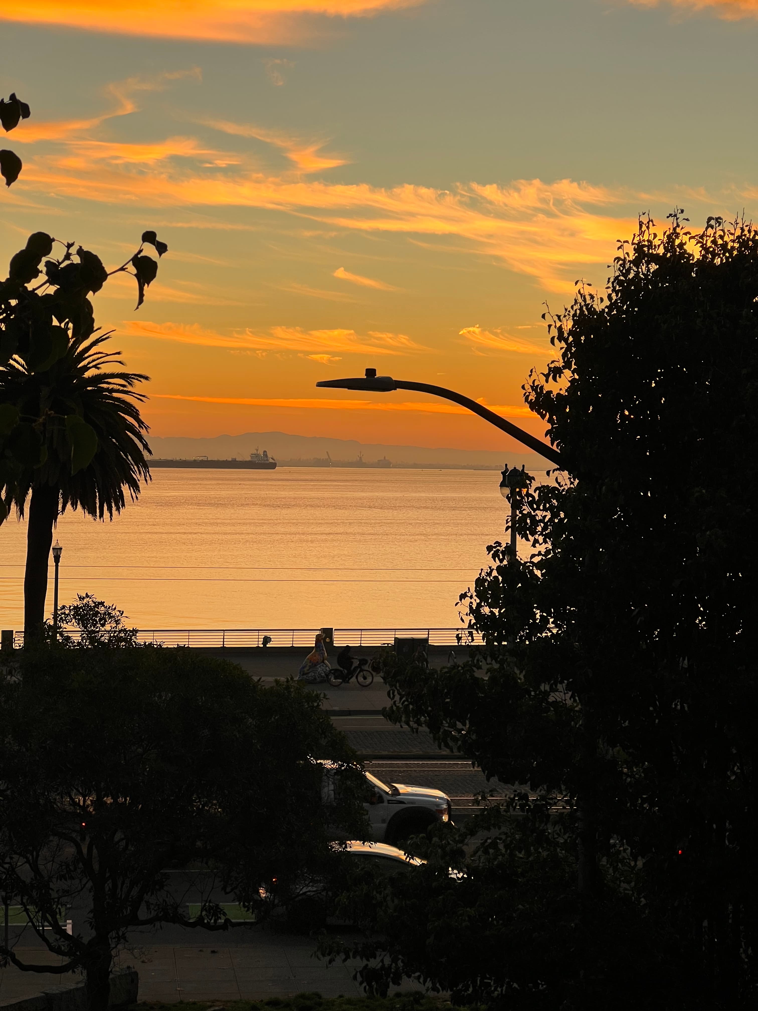 The Evening's Golden Embrace