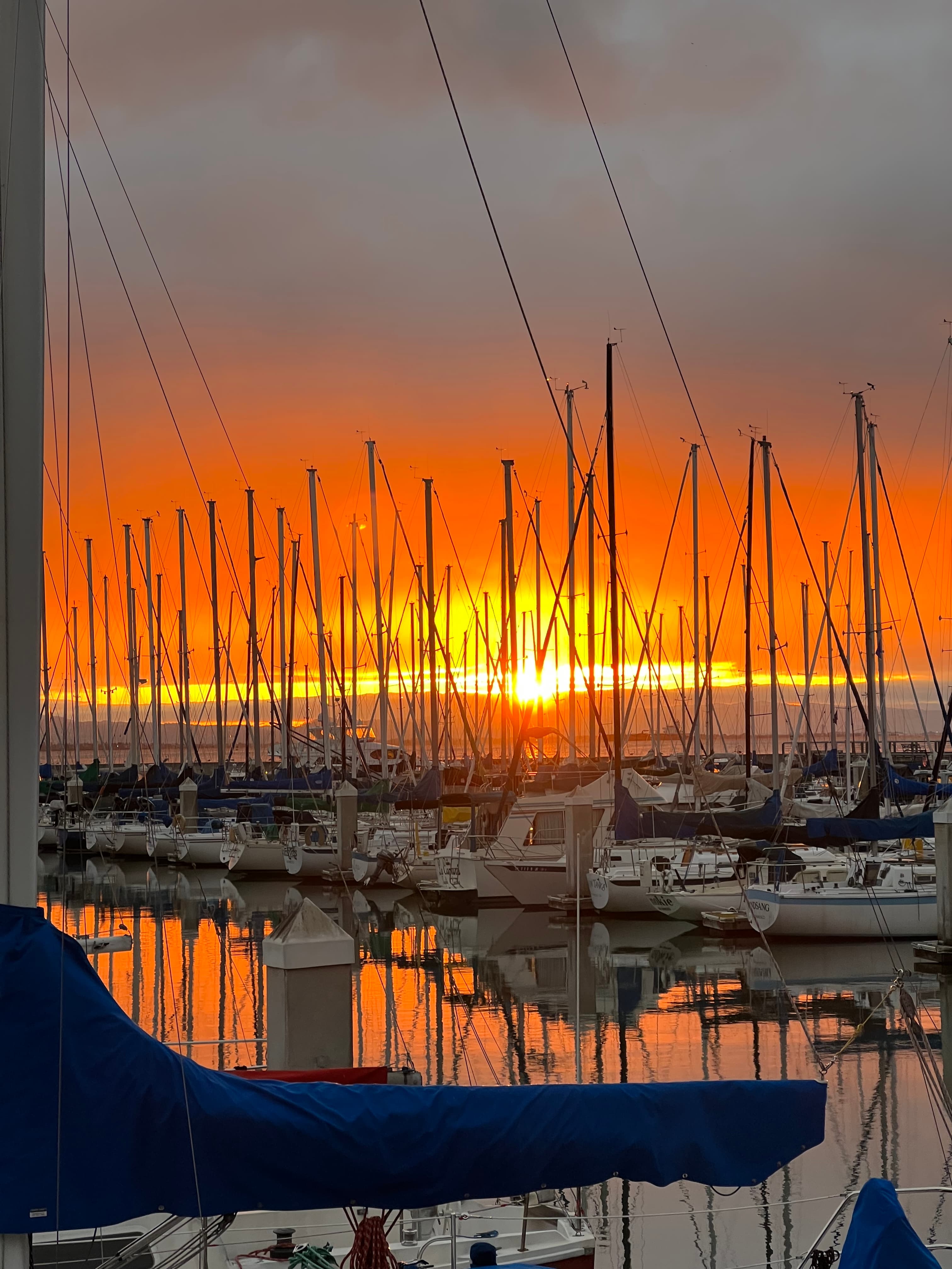 Reflections of a Thousand Stories