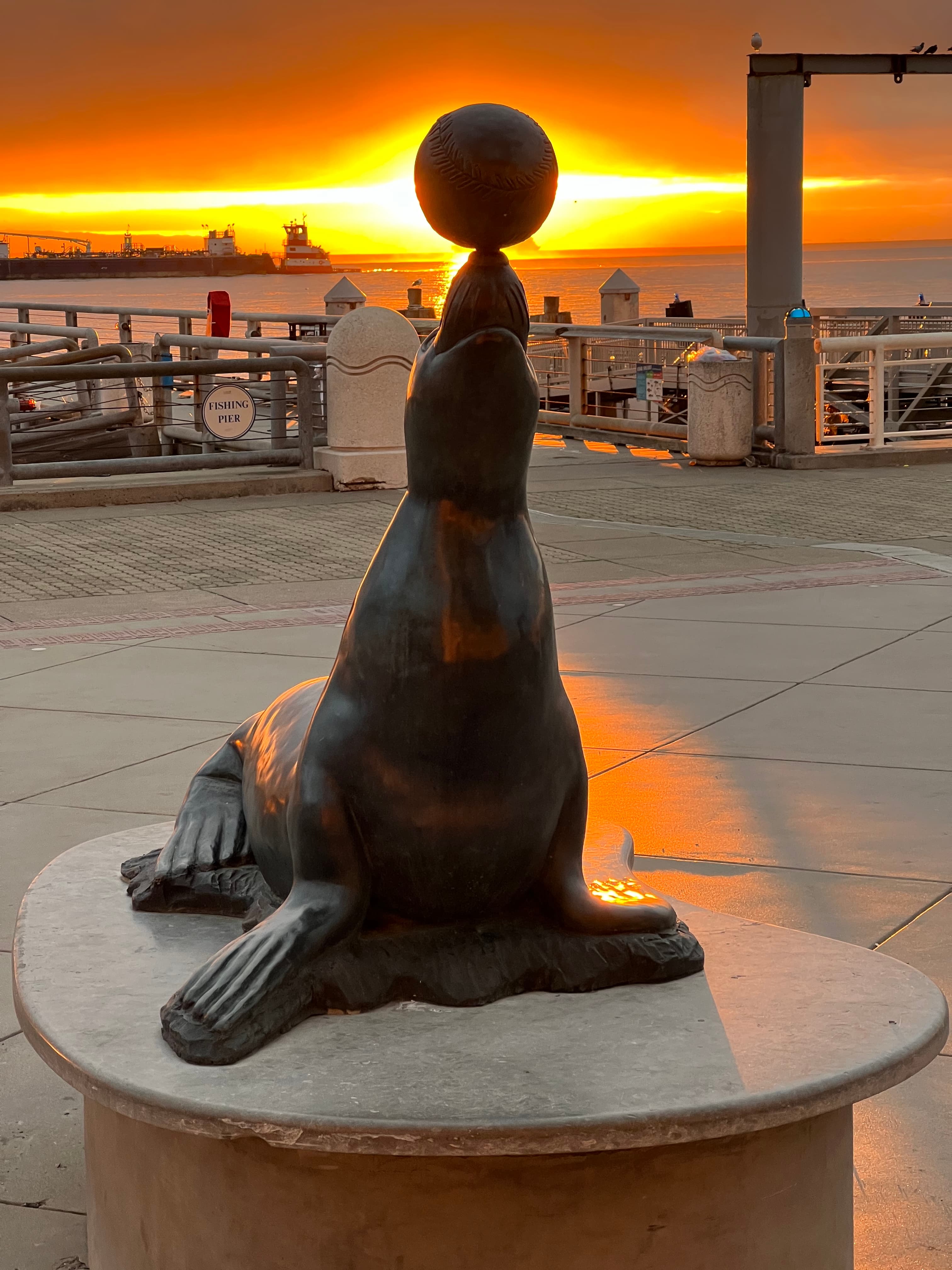 The Urban Prophet's Vision