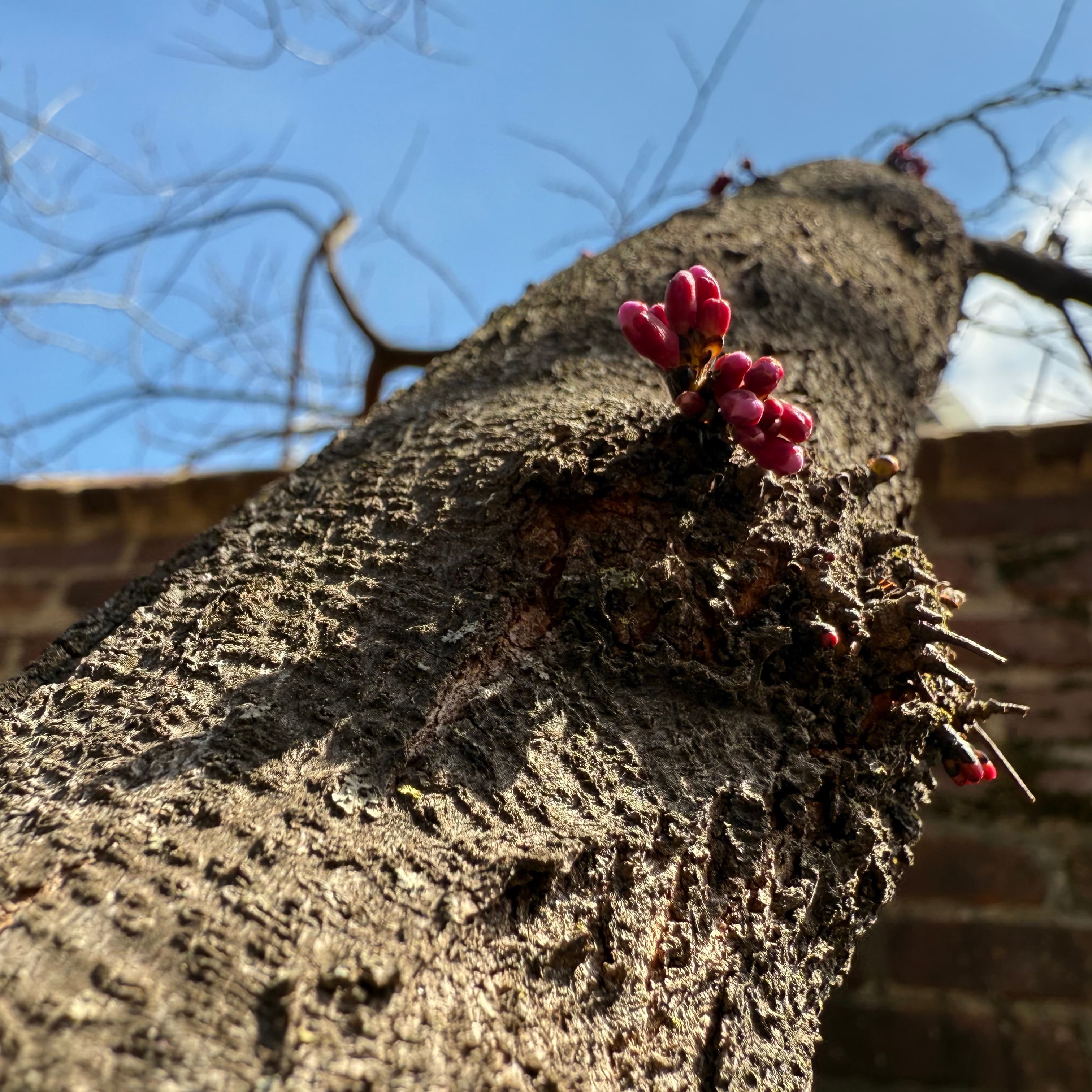 Textures of a Life Well-Traveled