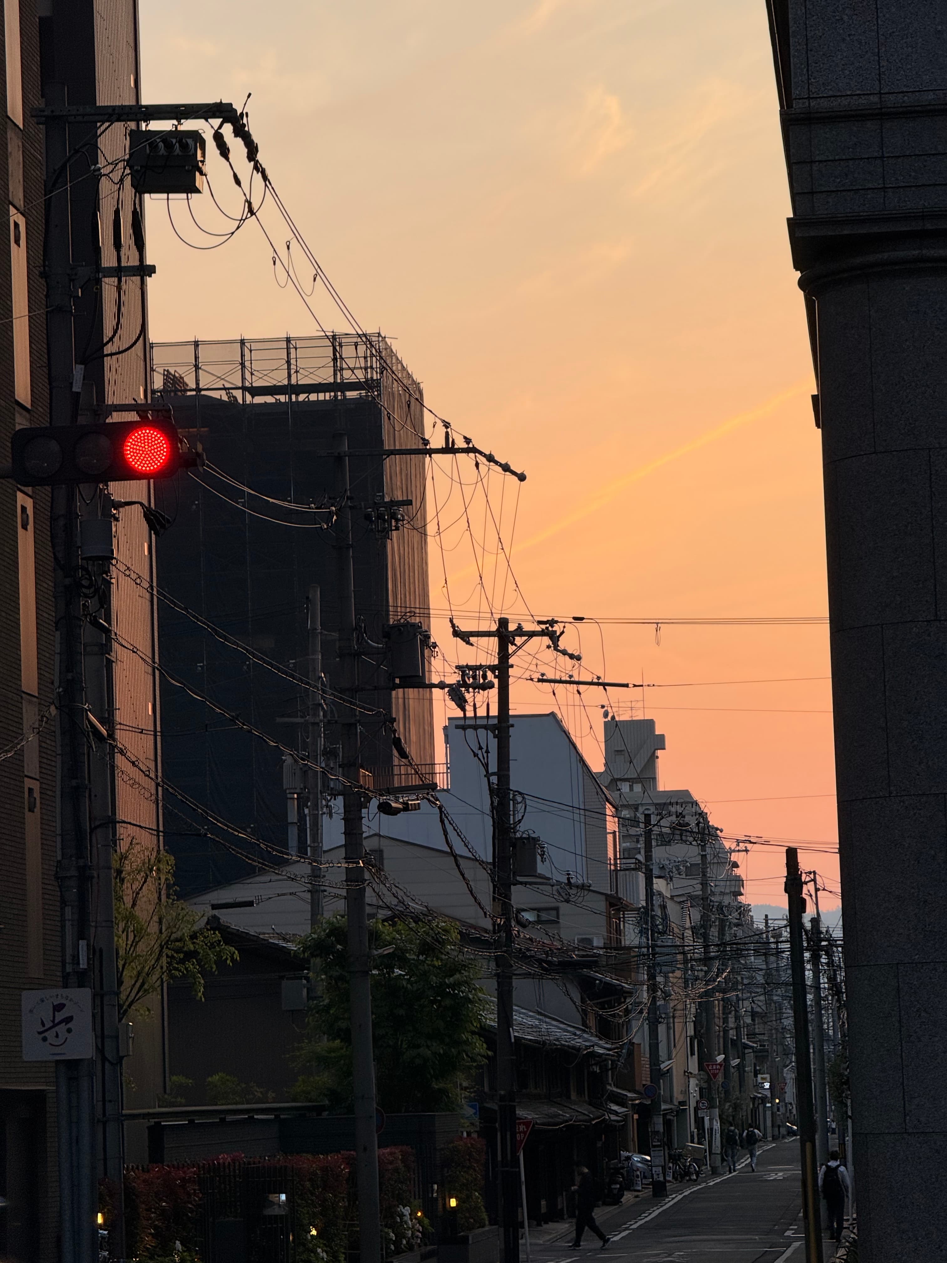 Bathed in Marmalade Light