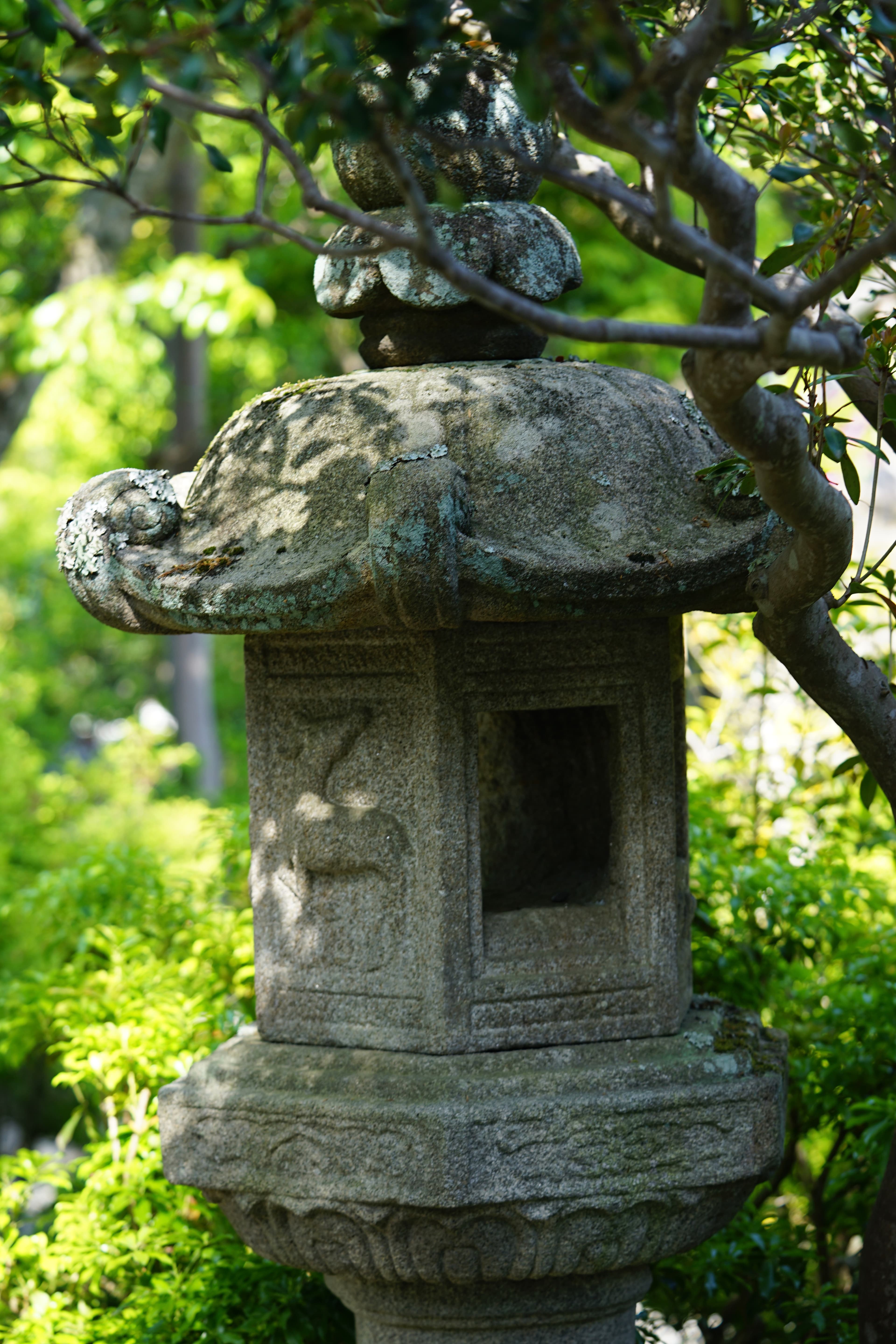 Shades on Sunny day in Nara